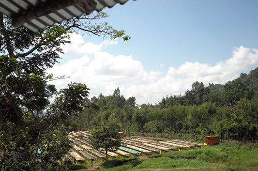 Ethiopia Yukro